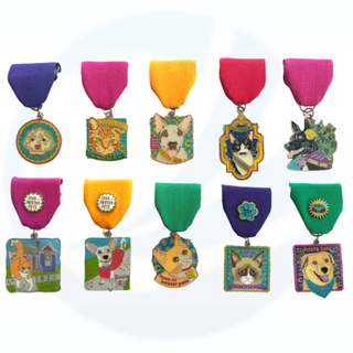 Cuidado personalizado de animales callejeros, gatos y perros, medalla de honor de carnaval