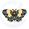 Cartoon Butterfly Animals Pins Lindo Pins de esmalte Insignia de etiqueta Funny Birthday Gift para su animal